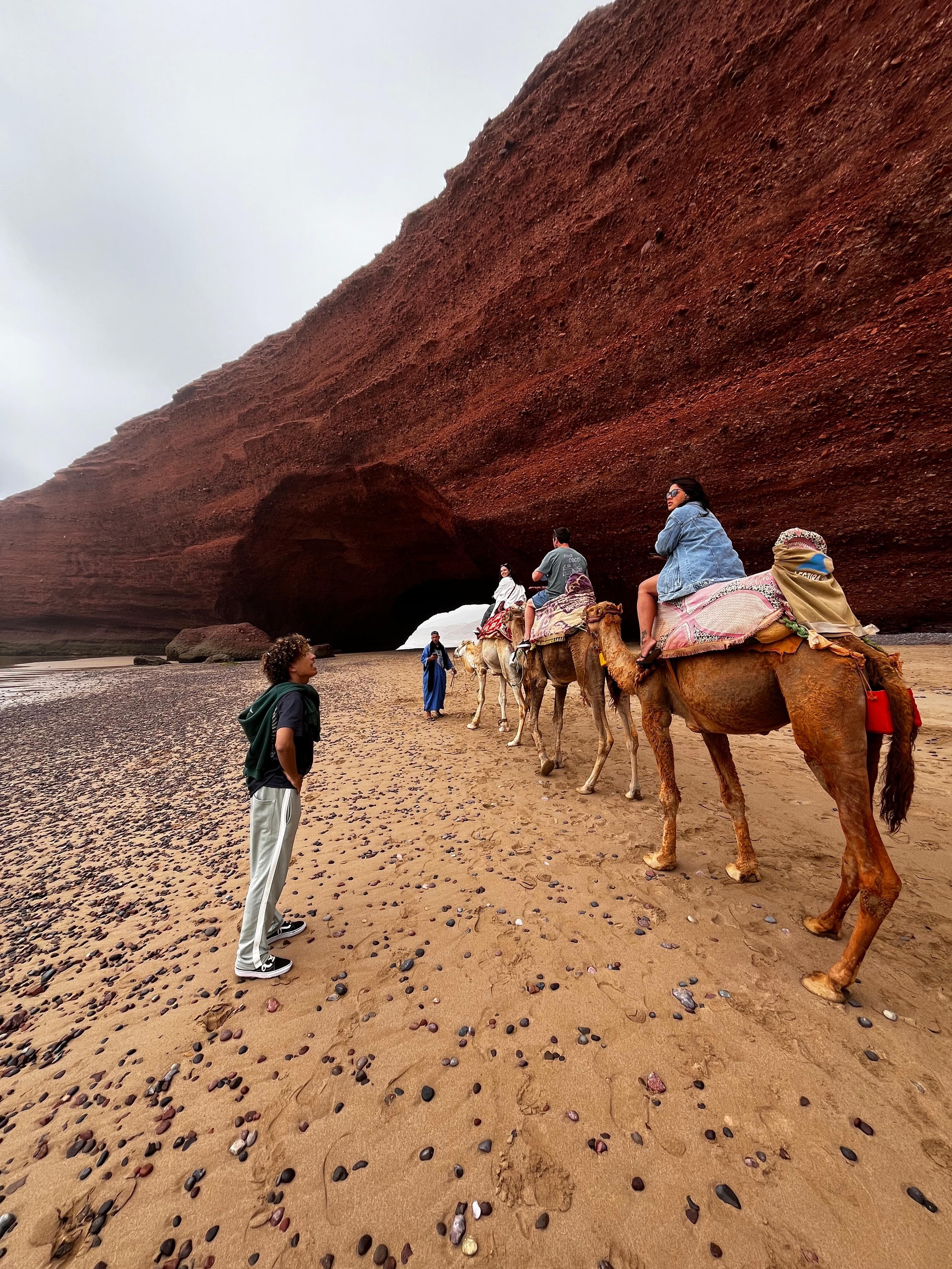 Camel experience near Mirleft