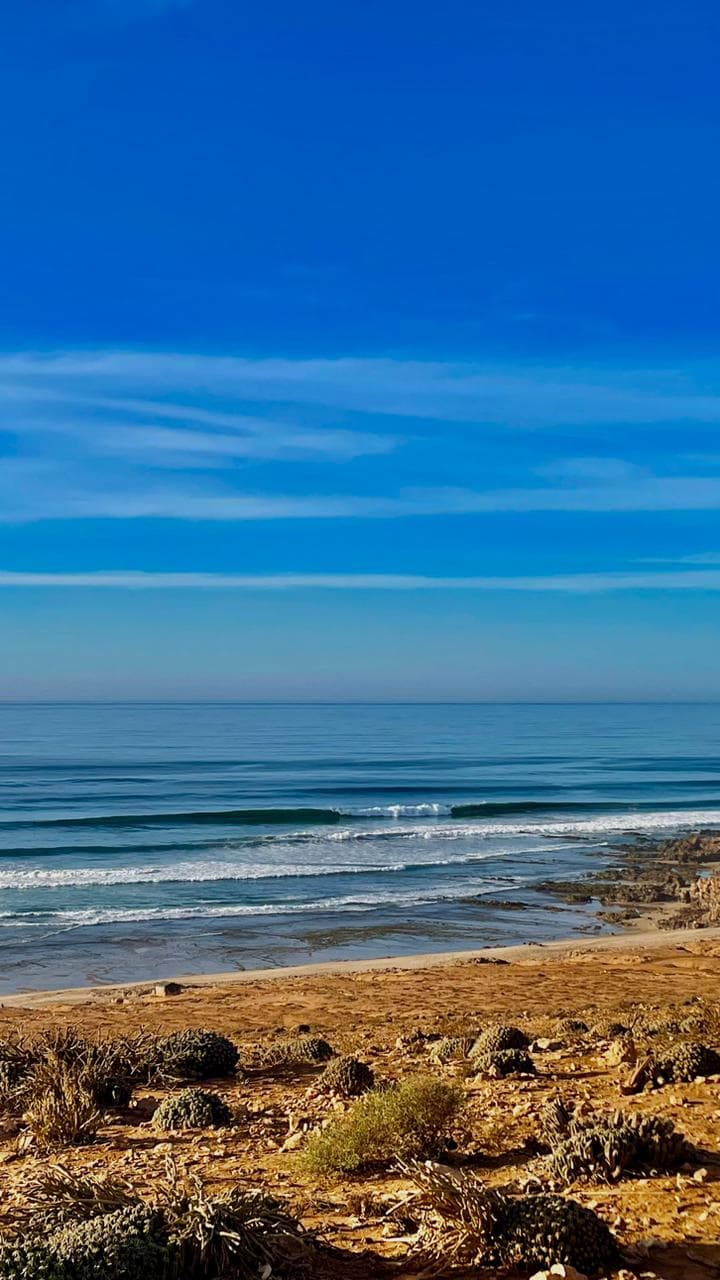 Atlantic waves near Mirleft