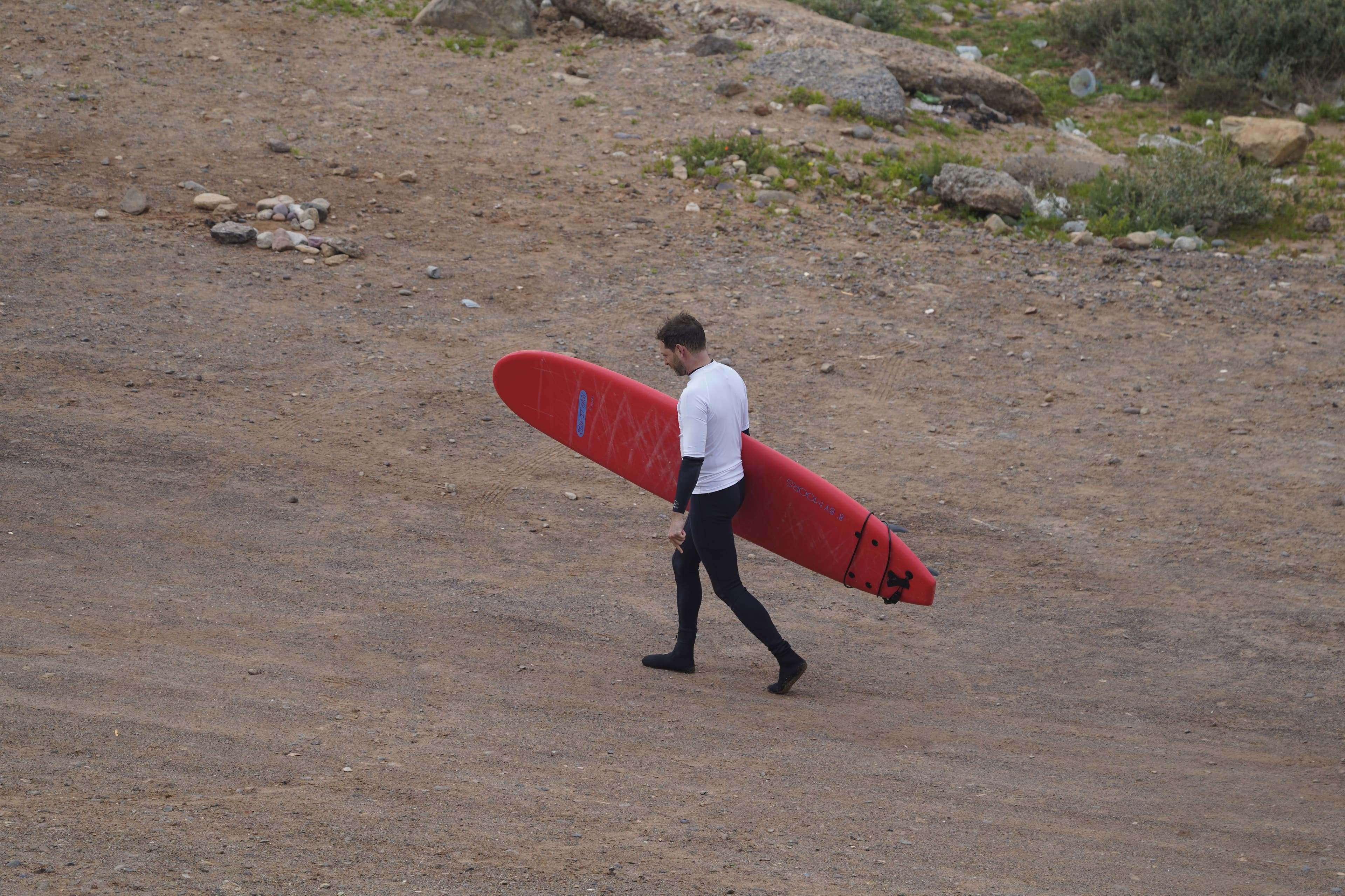 Free Surf Stay